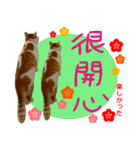 all cat photo sticker chinese（個別スタンプ：3）