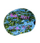 私の気持ち。2（個別スタンプ：12）
