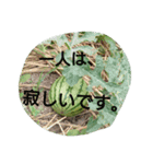 私の気持ち。2（個別スタンプ：15）