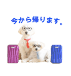 マリコロ ～ダップー＆マルプー～（個別スタンプ：3）