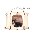 くまお部屋（個別スタンプ：17）