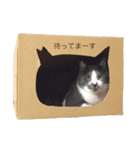 くまお部屋（個別スタンプ：20）