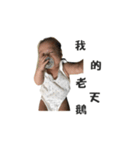 Ho-Ray's Life（個別スタンプ：14）