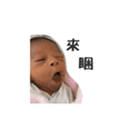 Ho-Ray's Life（個別スタンプ：18）