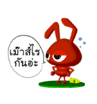 MaLangMao（個別スタンプ：24）