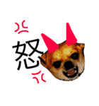 忠犬パゲ公のスタンプ 1（個別スタンプ：4）