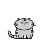 Mamii The Cat（個別スタンプ：1）