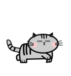 Mamii The Cat（個別スタンプ：2）