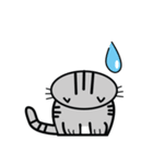 Mamii The Cat（個別スタンプ：11）