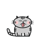 Mamii The Cat（個別スタンプ：13）