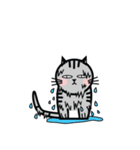 Mamii The Cat（個別スタンプ：14）