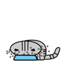 Mamii The Cat（個別スタンプ：16）