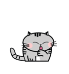 Mamii The Cat（個別スタンプ：17）