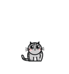 Mamii The Cat（個別スタンプ：28）