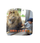 あいさつ言葉（個別スタンプ：14）