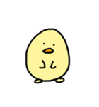 ヒヨコ先輩のヒヨさん（個別スタンプ：1）