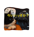 おみたマンゾー（個別スタンプ：25）