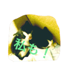 おみたマンゾー（個別スタンプ：31）