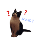 小川家ののんちゃん（個別スタンプ：1）