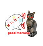 ねこのあみちゃん（個別スタンプ：3）