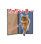 ねこのあみちゃん（個別スタンプ：7）