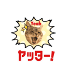 ねこのあみちゃん（個別スタンプ：9）