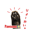 ねこのあみちゃん（個別スタンプ：10）