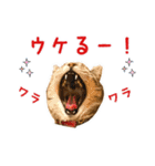 ねこのあみちゃん（個別スタンプ：13）