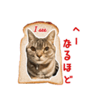 ねこのあみちゃん（個別スタンプ：15）