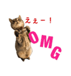 ねこのあみちゃん（個別スタンプ：16）