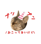 ねこのあみちゃん（個別スタンプ：20）
