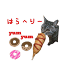 ねこのあみちゃん（個別スタンプ：21）