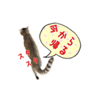ねこのあみちゃん（個別スタンプ：25）