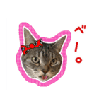 ねこのあみちゃん（個別スタンプ：30）