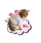 ねこのあみちゃん（個別スタンプ：34）