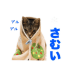 ねこのあみちゃん（個別スタンプ：38）