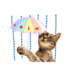ねこのあみちゃん（個別スタンプ：40）
