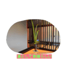 さだ2（個別スタンプ：6）