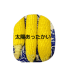 さだ2（個別スタンプ：7）