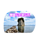 さだ2（個別スタンプ：8）