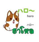 元気な犬日本語タイ語（個別スタンプ：2）