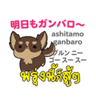 元気な犬日本語タイ語（個別スタンプ：31）