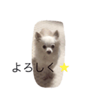 ティアラのスタンプ！（個別スタンプ：1）