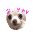 ティアラのスタンプ！（個別スタンプ：14）