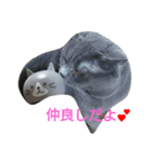 ねこのトム（個別スタンプ：3）