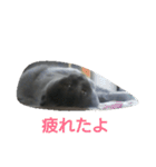 ねこのトム（個別スタンプ：19）
