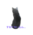 ねこのトム（個別スタンプ：32）