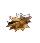 ゆけゆけアンジー（個別スタンプ：11）