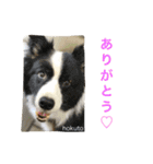 よく使うセリフ。（個別スタンプ：3）