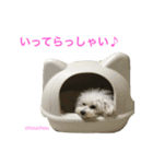 よく使うセリフ。（個別スタンプ：6）